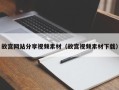 樟树故宫网站分享视频素材（故宫视频素材下载）